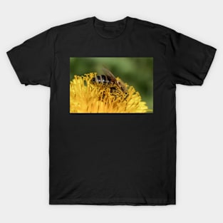 Bee on dandelion T-Shirt